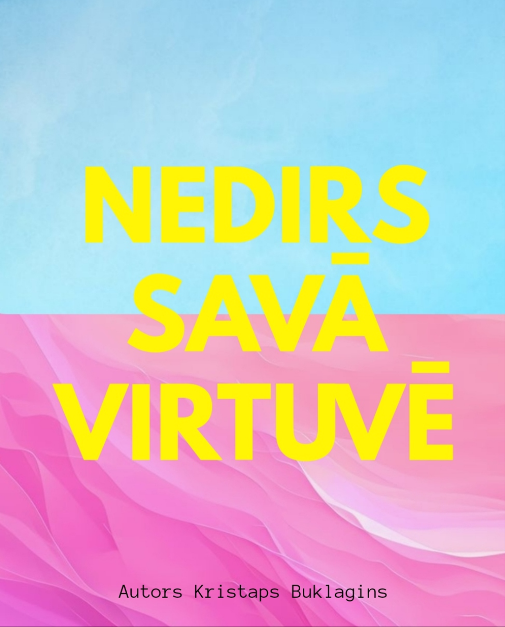 NEDIRS SAVĀ VIRTUVĒ